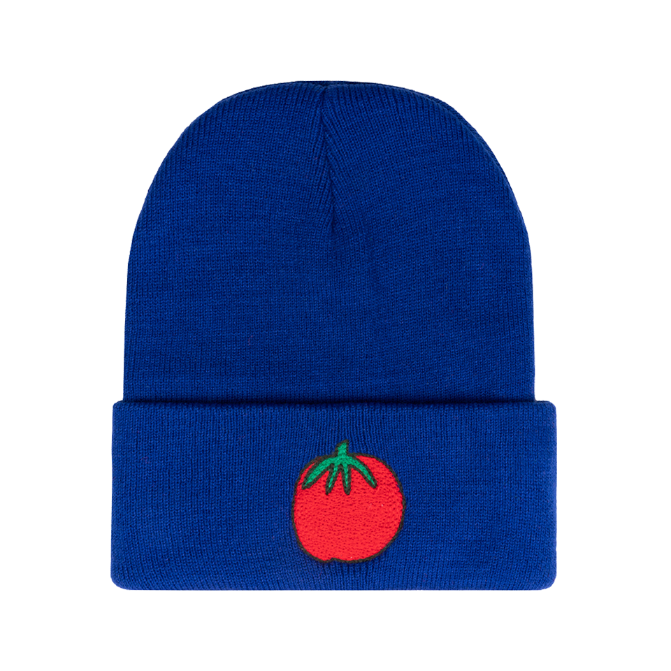 GrossyPelosi x Project Paulie Beanie for SAGE
