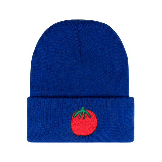 GrossyPelosi x Project Paulie Beanie for SAGE
